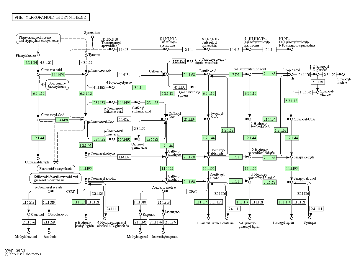 Genome annotation img 3